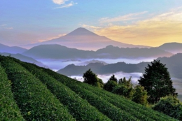 6_お茶のまち静岡市の風景.jpg