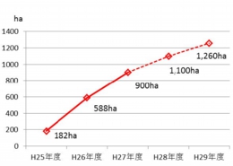 3_風さやか栽培面積の推移.jpg